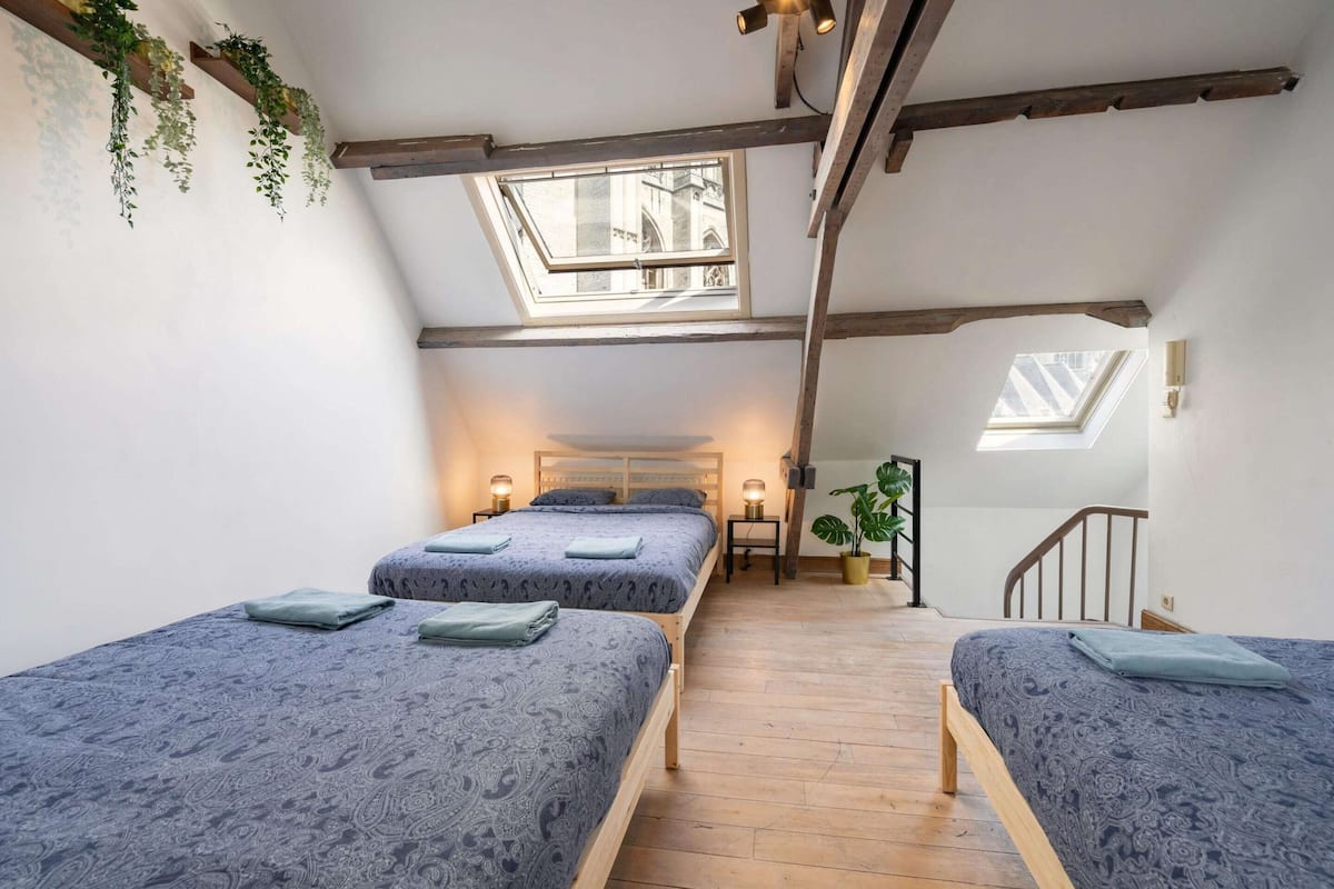 A loft-style bedroom with two beds, wooden beams, skylights, and a potted plant.