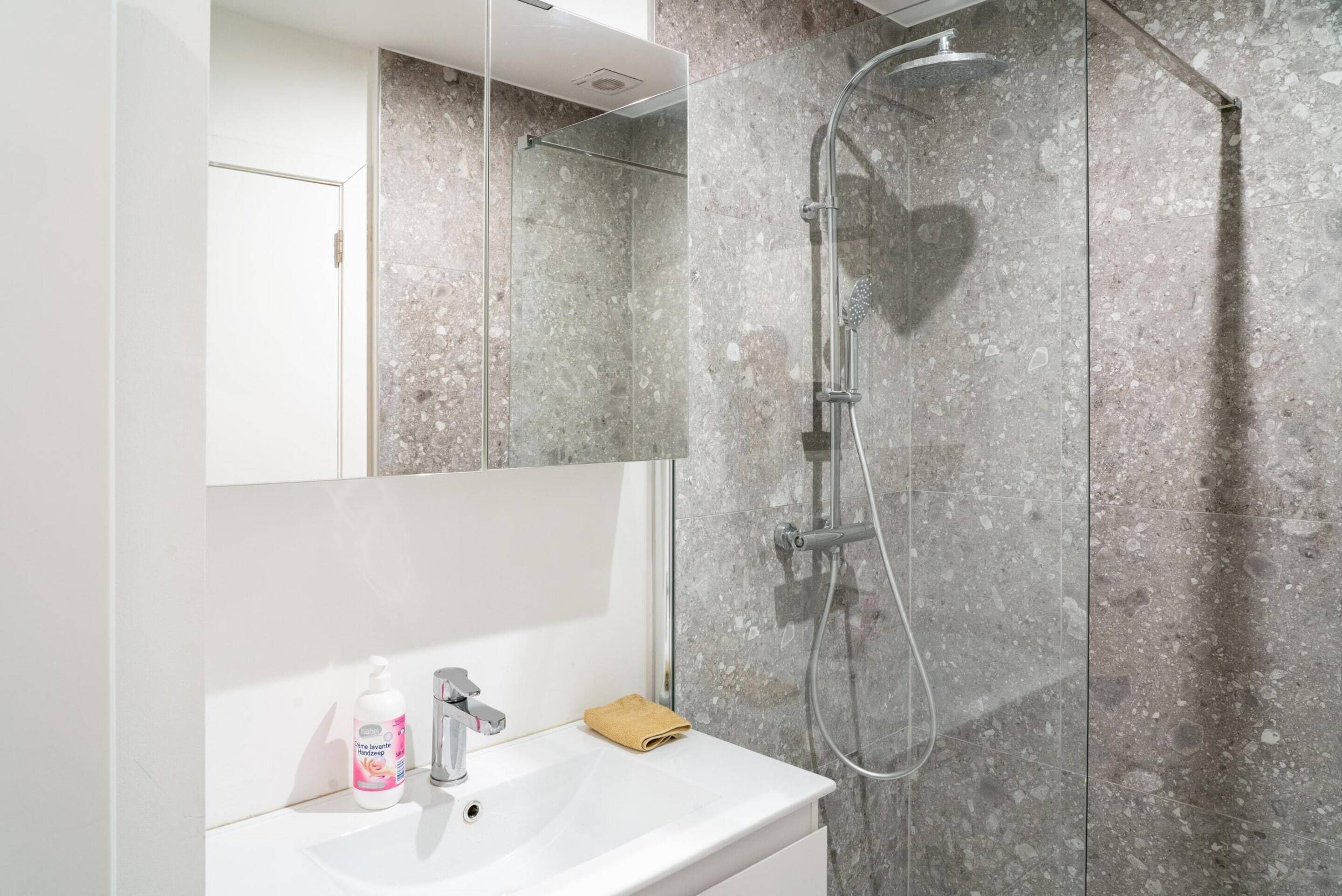 A bathroom with a white sink, a mirror, a shower with a heart-shaped design, and a bottle of soap.