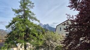 A residential area with a large tree, a small wooden structure, and a building with a sloped roof. - Garden Villa Schwanstein I Apartment "Lohengrin" (Füssen)