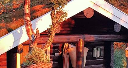 Enjoy the simple cabin life in the calm nature
