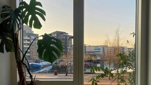 Una finestra con vista sulla città, una pianta in vaso e una bicicletta.