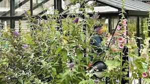 Un edificio a più piani con balconi, un ponte in vetro e un'area giardino con diverse piante.