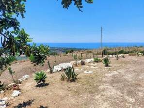 Eine trockene, felsige Landschaft mit vereinzelter Vegetation, einem Strommasten und einem entfernten Blick auf das Meer.