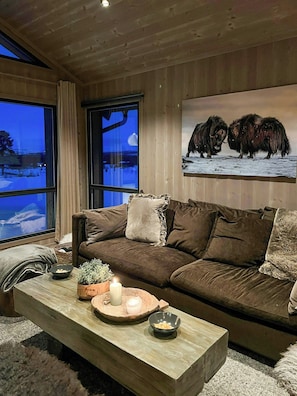 Fernseher, Kamin