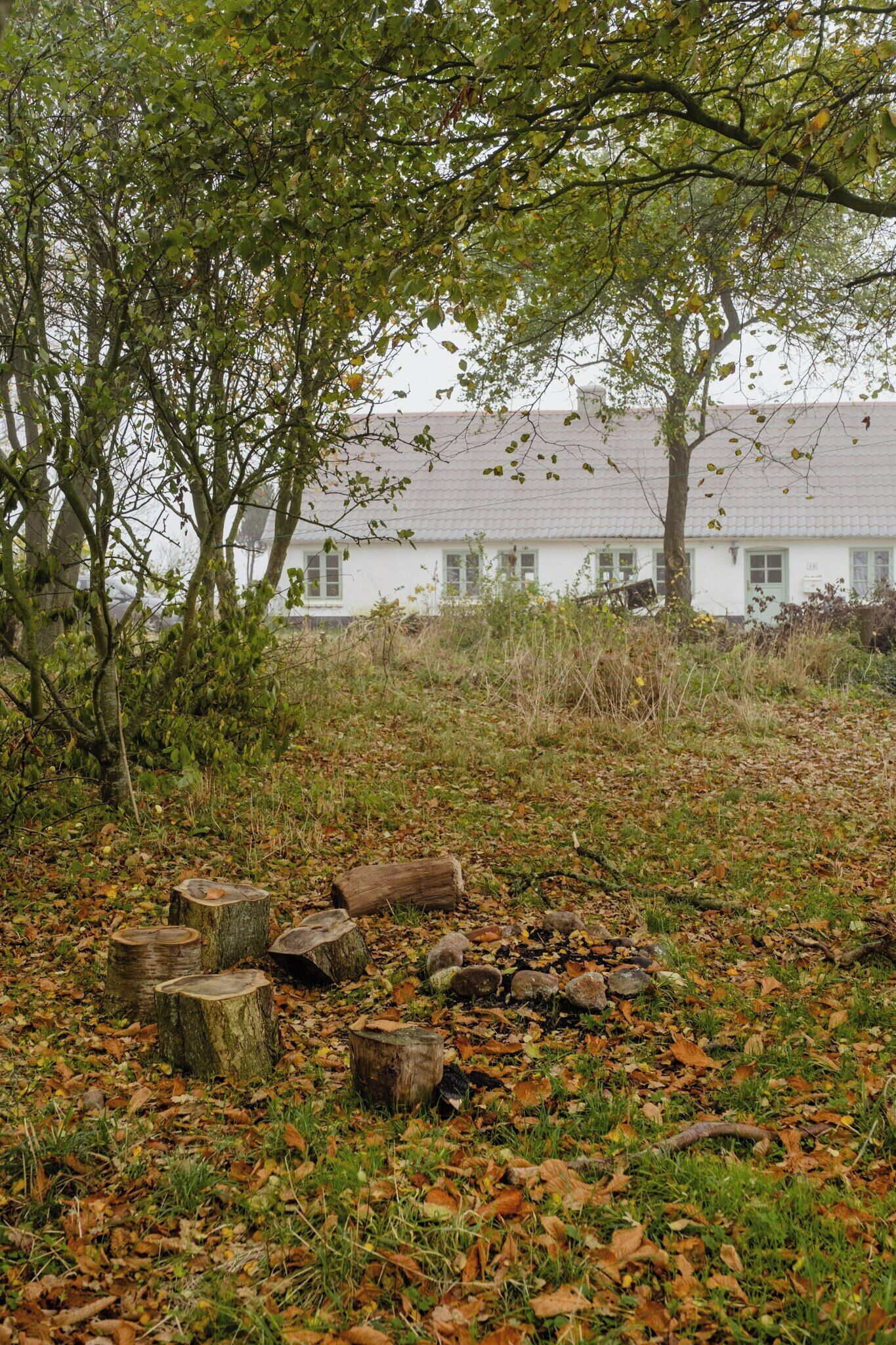 A white building with a sloped roof, surrounded by trees and a grassy area with scattered logs.