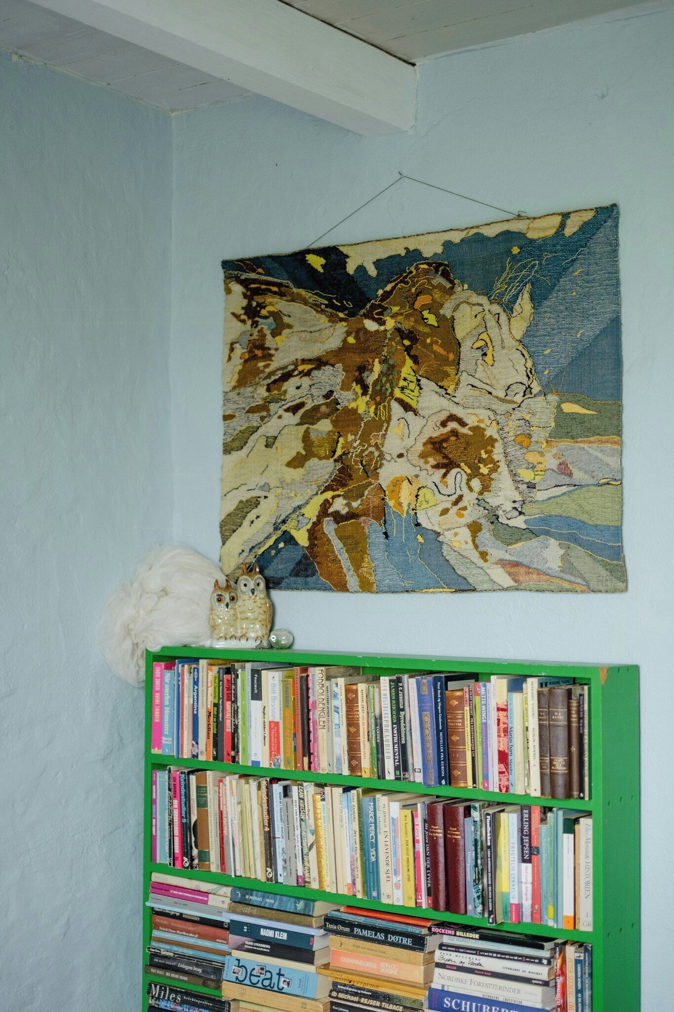 Una habitación con una estantería verde llena de libros, un cuadro en la pared y un objeto blanco y mullido en el suelo.