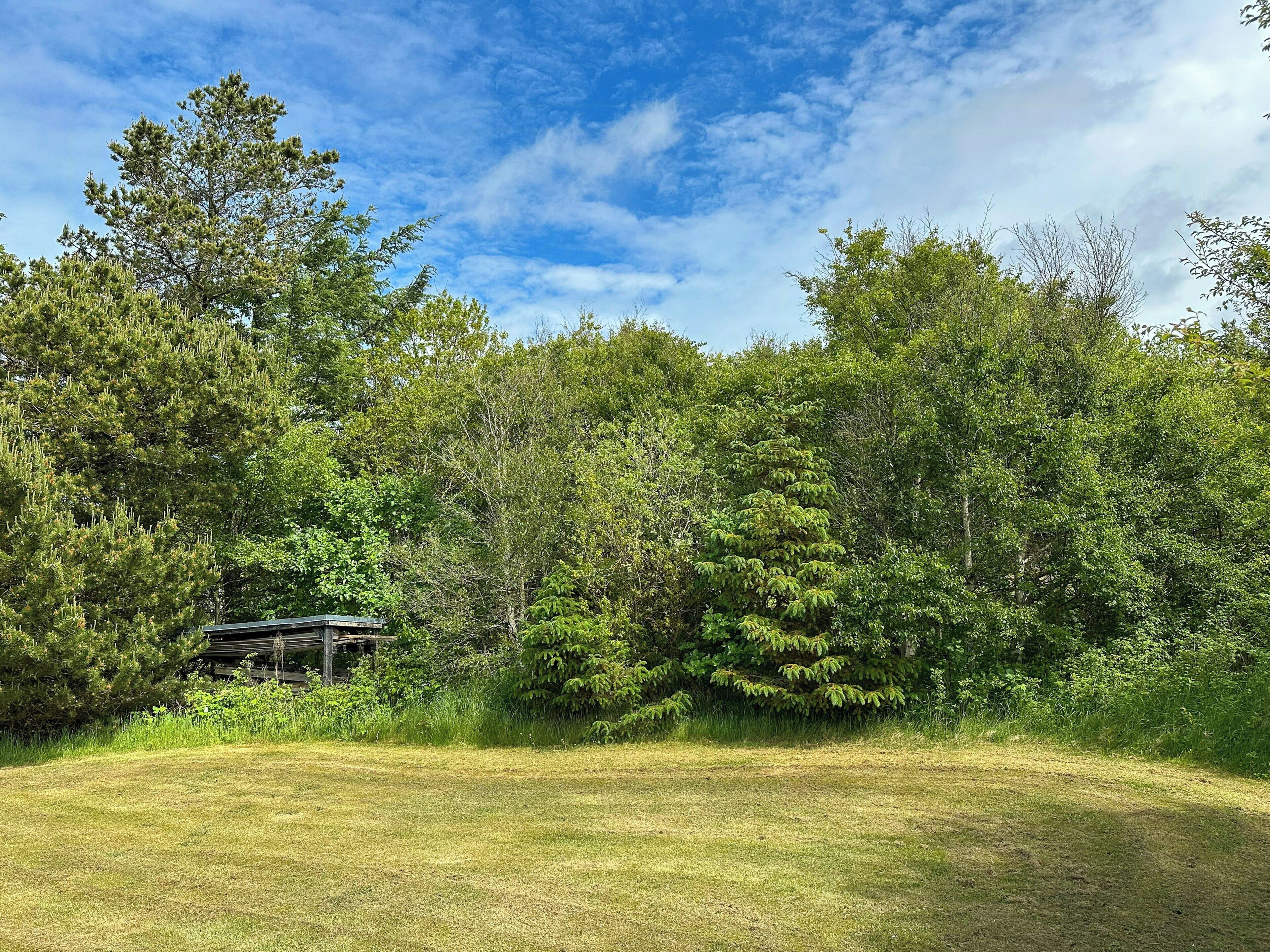 A grassy field with dense trees and a small building partially obscured by foliage.