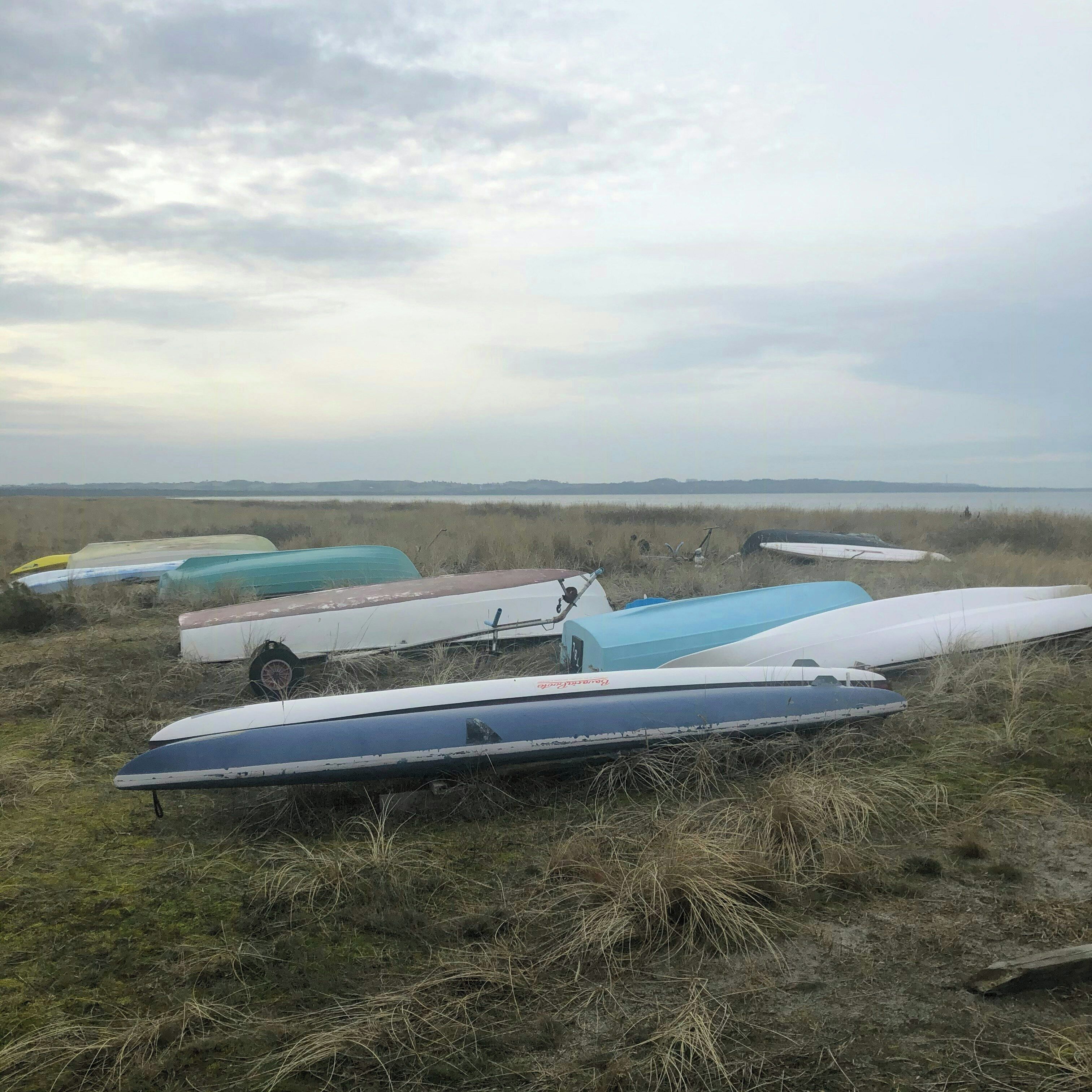 Un champ herbeux où se trouvent plusieurs petits bateaux.