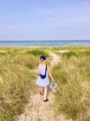 Beach - Experience vibe of Fredskov's nature (Bjerge Sydstrand)
