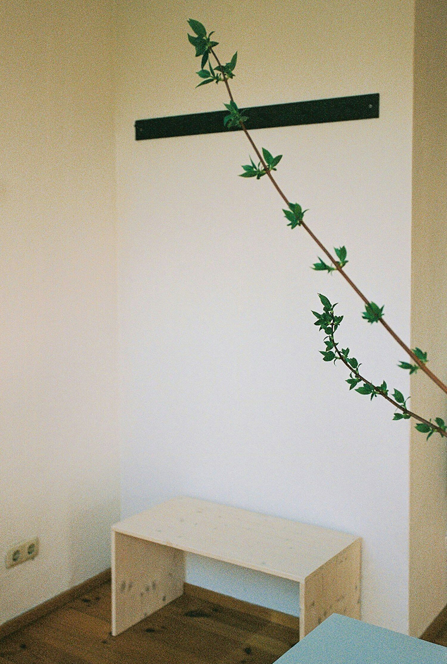 Een kamer met een houten bankje, een wandplank en een tak met groene bladeren.
