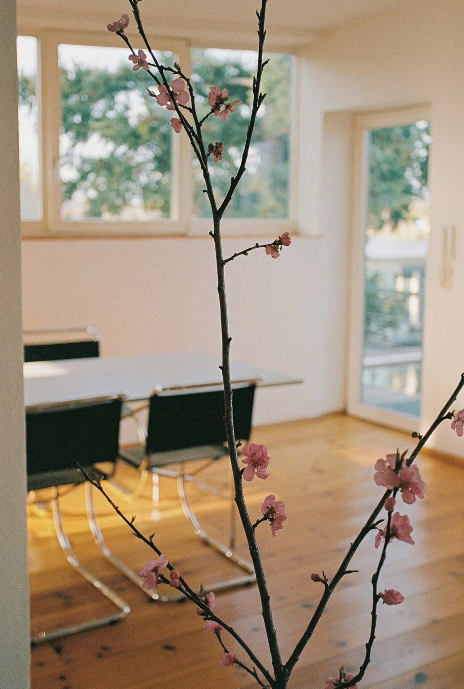 Une pièce comprenant une table à manger, des chaises, une fenêtre donnant sur des arbres et une branche ornée de fleurs roses.