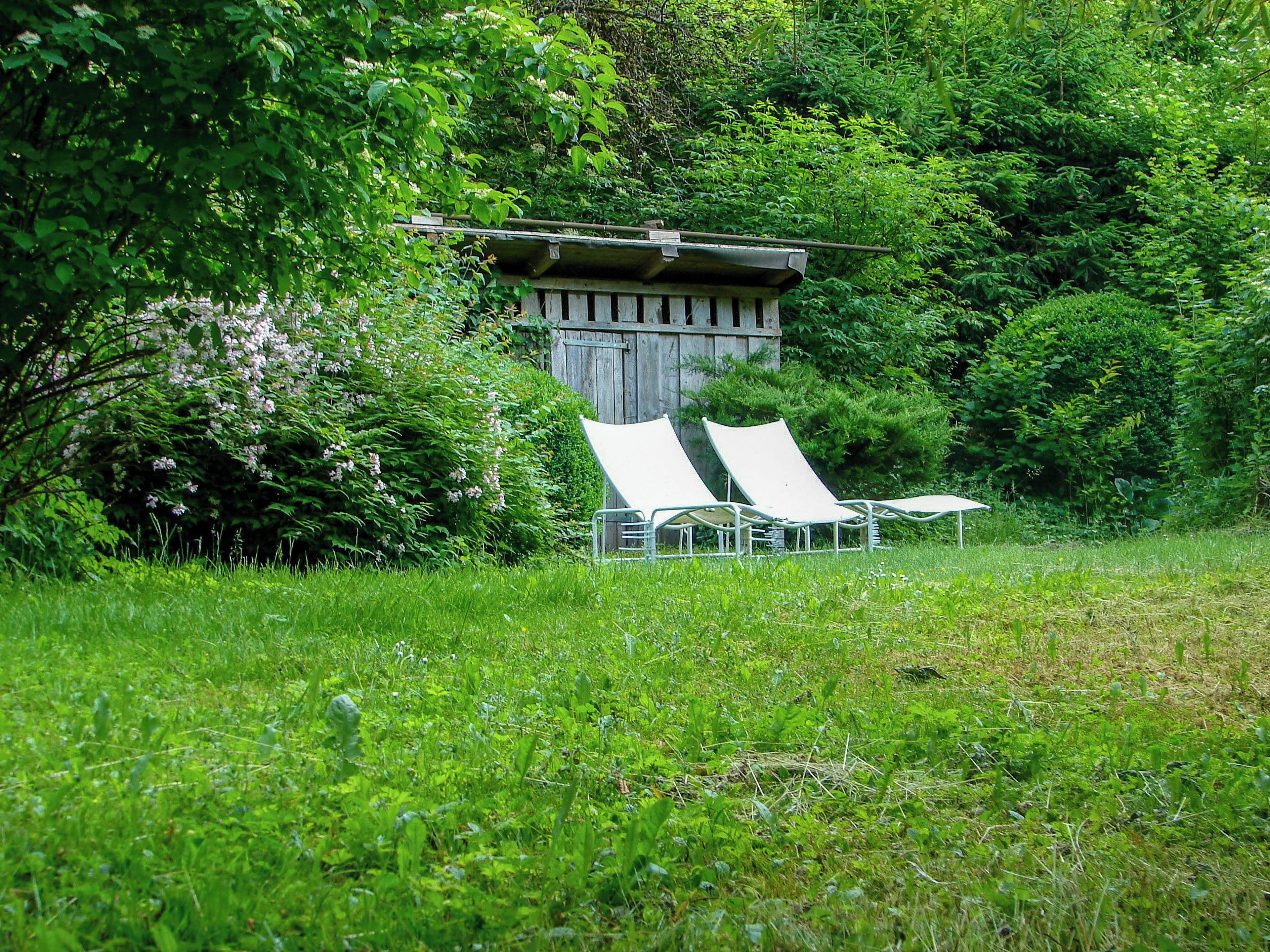 Une structure en bois dotée d’un toit en pente, entourée d’une végétation luxuriante et d’une pelouse agrémentée de chaises longues blanches.