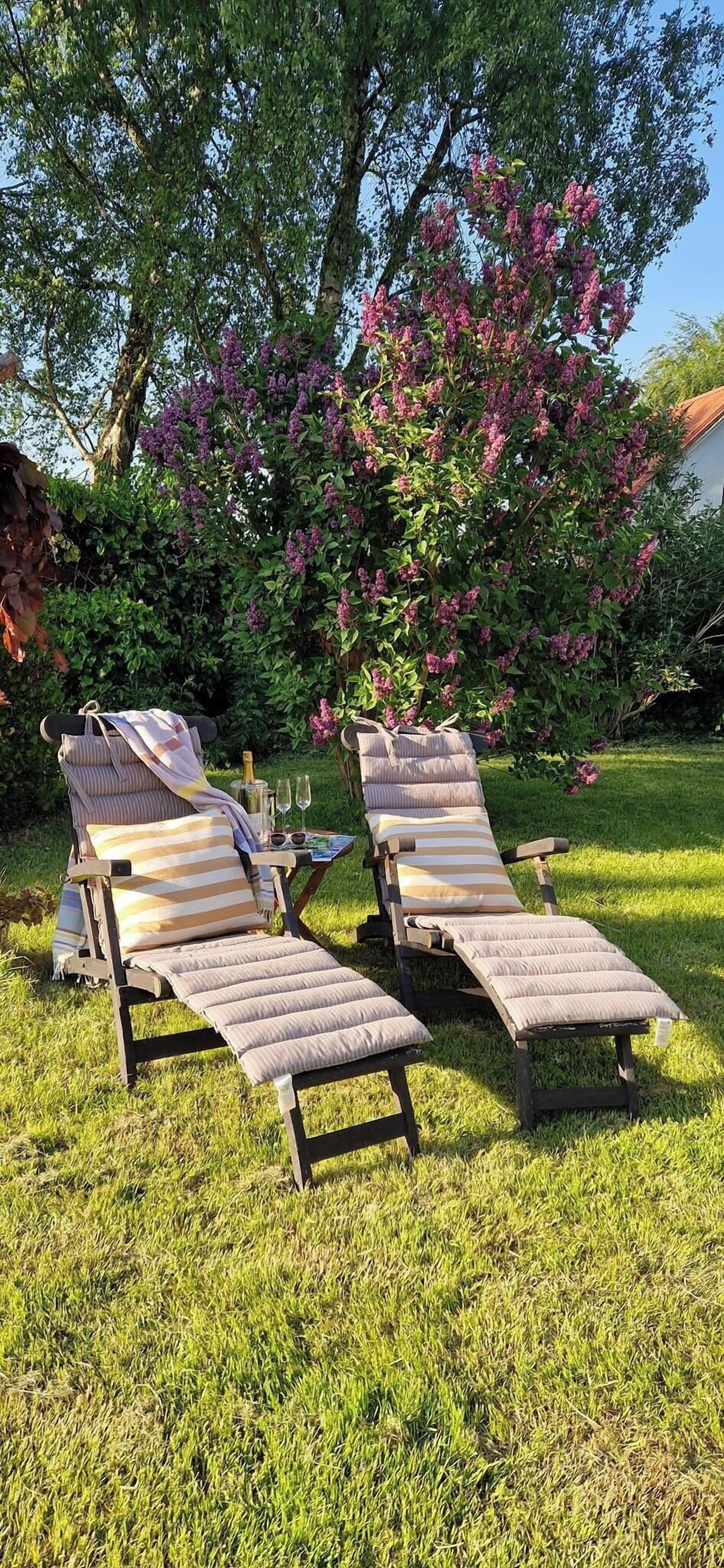 Two sun loungers with striped cushions, a bottle of champagne, and a glass on a small table, set on a grassy lawn with a flowering tree in the background.
