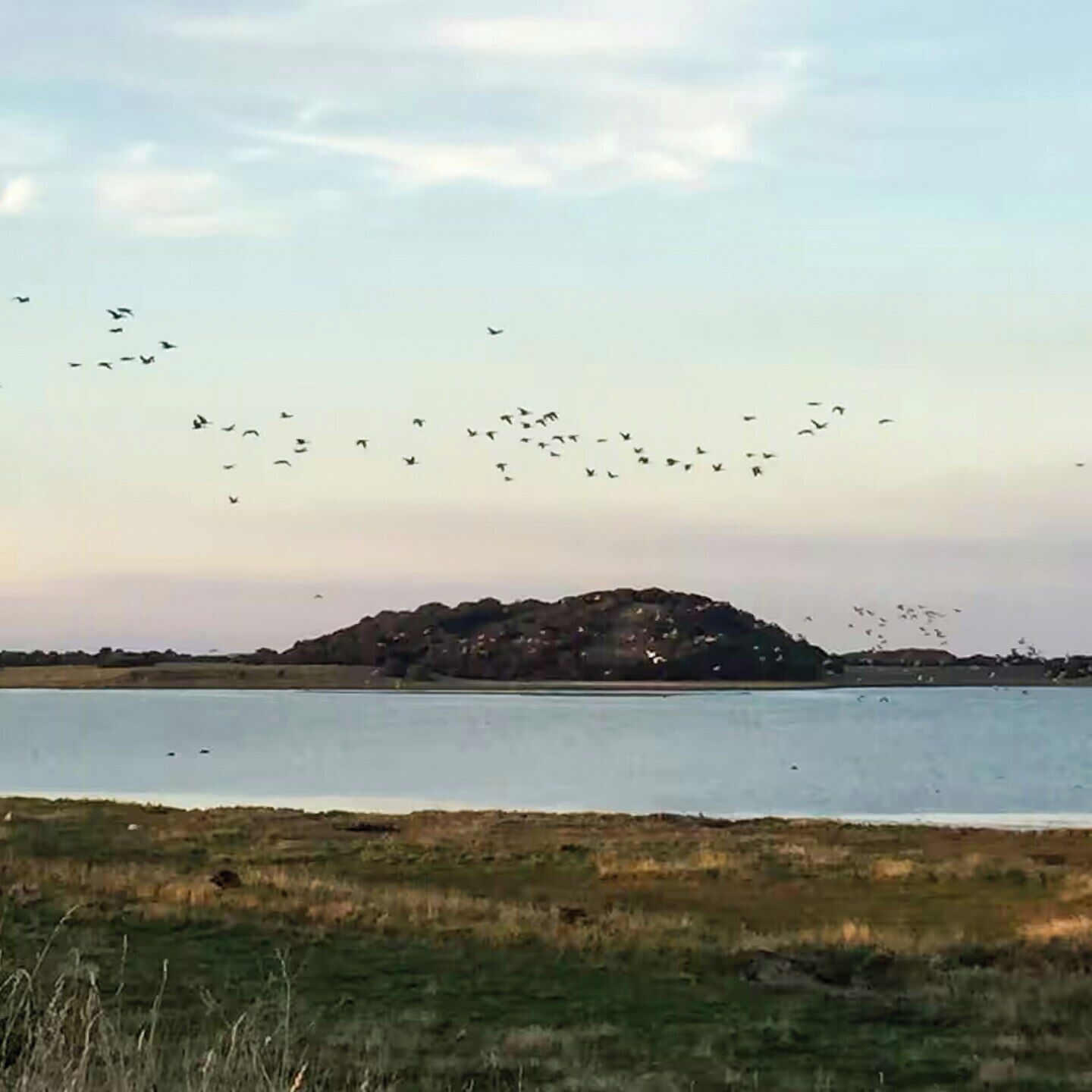 A body of water with a distant hill and a flock of birds flying overhead.
