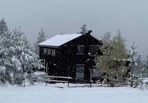Un edificio cubierto de nieve con techo inclinado, rodeado de árboles cargados de nieve.