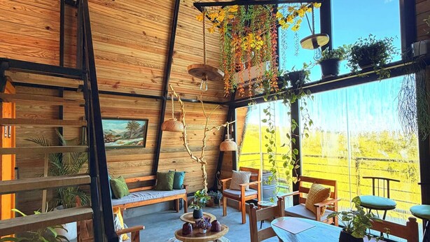 A spacious interior with a high ceiling, wooden beams, and large windows. There are multiple seating areas with tables and chairs, and various potted plants are visible.