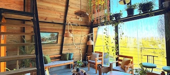 Alpine Cabin PR 2026