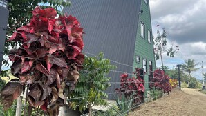 A building with a grey roof and a green lower section, surrounded by vegetation and a dirt path.