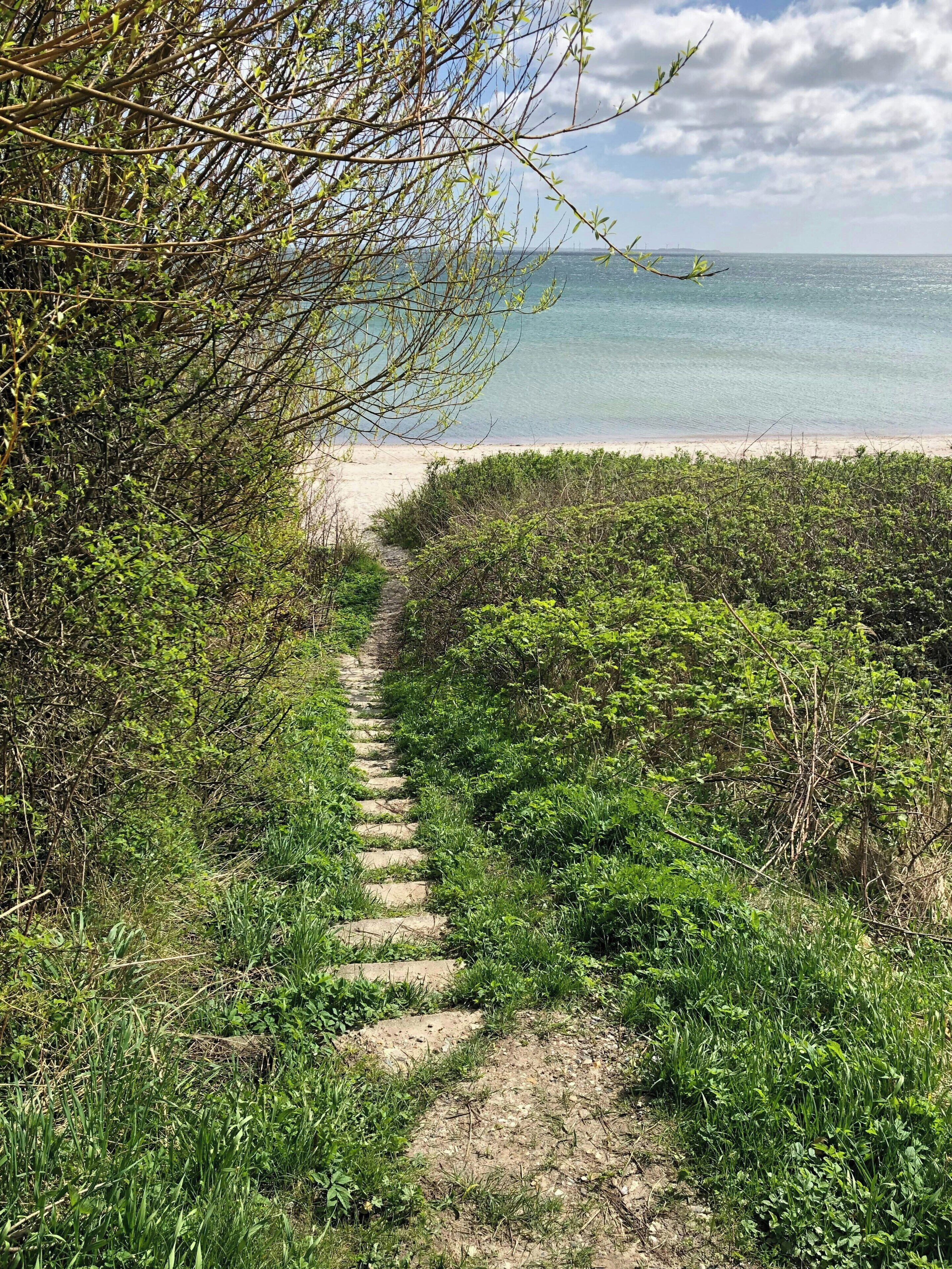 Strand