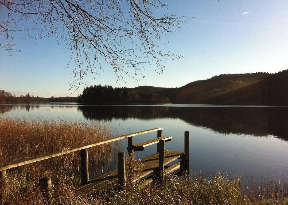 Un llac tranquil amb un moll de fusta que s'endinsa a l'aigua, envoltat d'herbes altes i arbres.