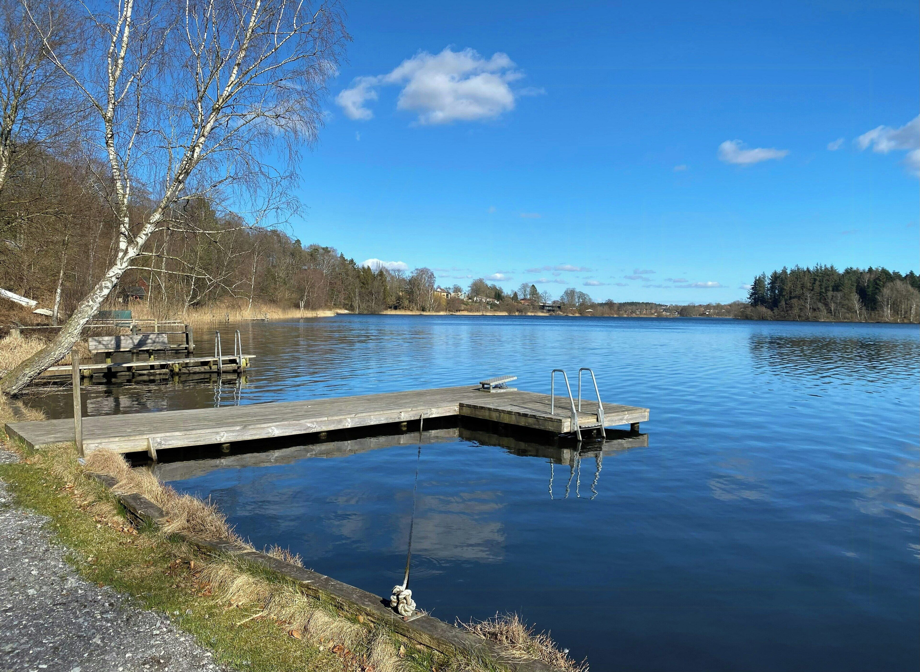 A calm lake with a wooden dock extending into the water, surrounded by trees and a clear sky.