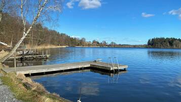 A calm lake with a wooden dock extending into the water, surrounded by trees and a clear sky.
