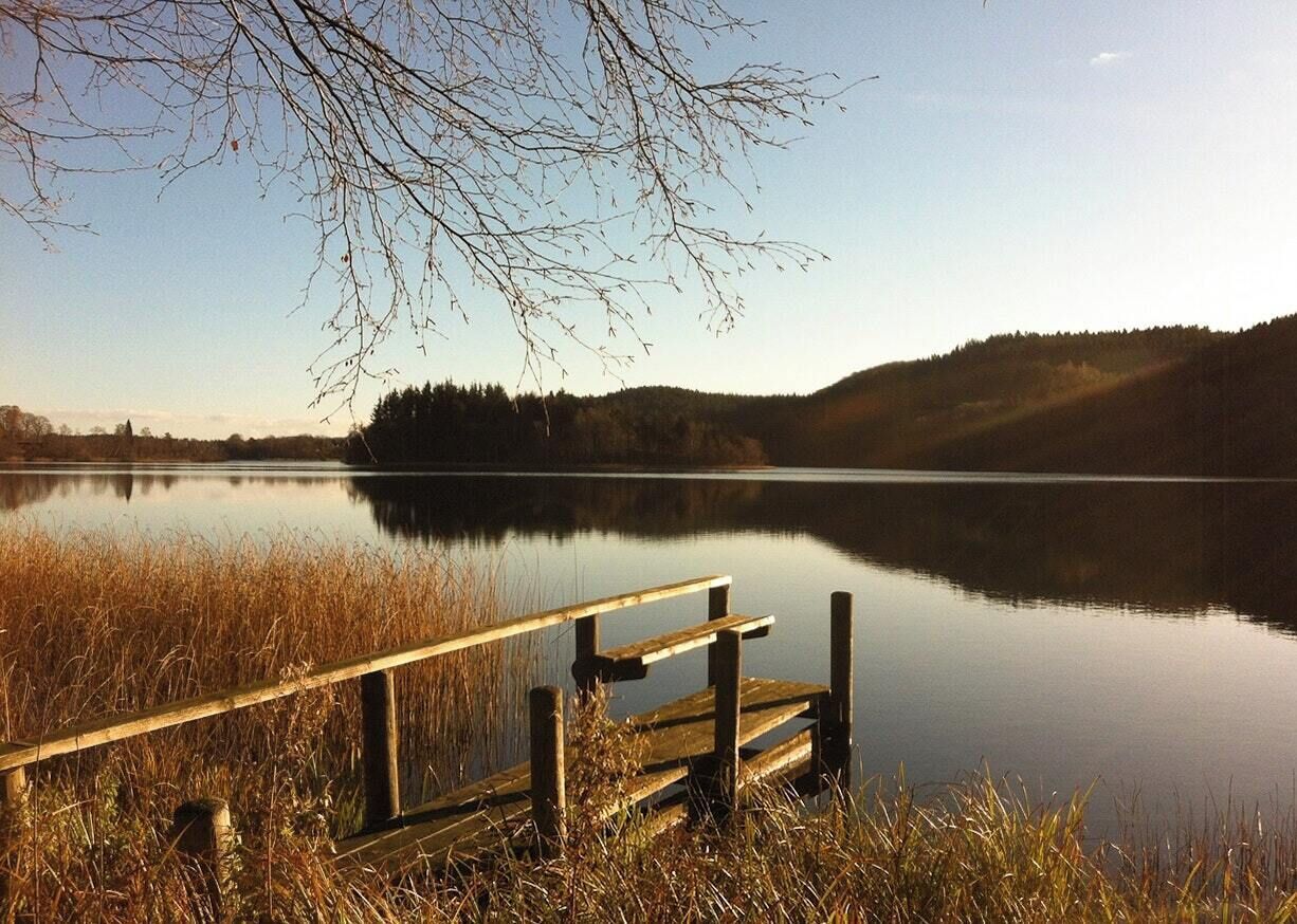 Un lago tranquilo con un muelle de madera que se adentra en el agua, rodeado de altas hierbas y árboles.