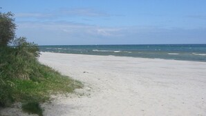 Ein Strand mit Sand und vereinzelter Vegetation.