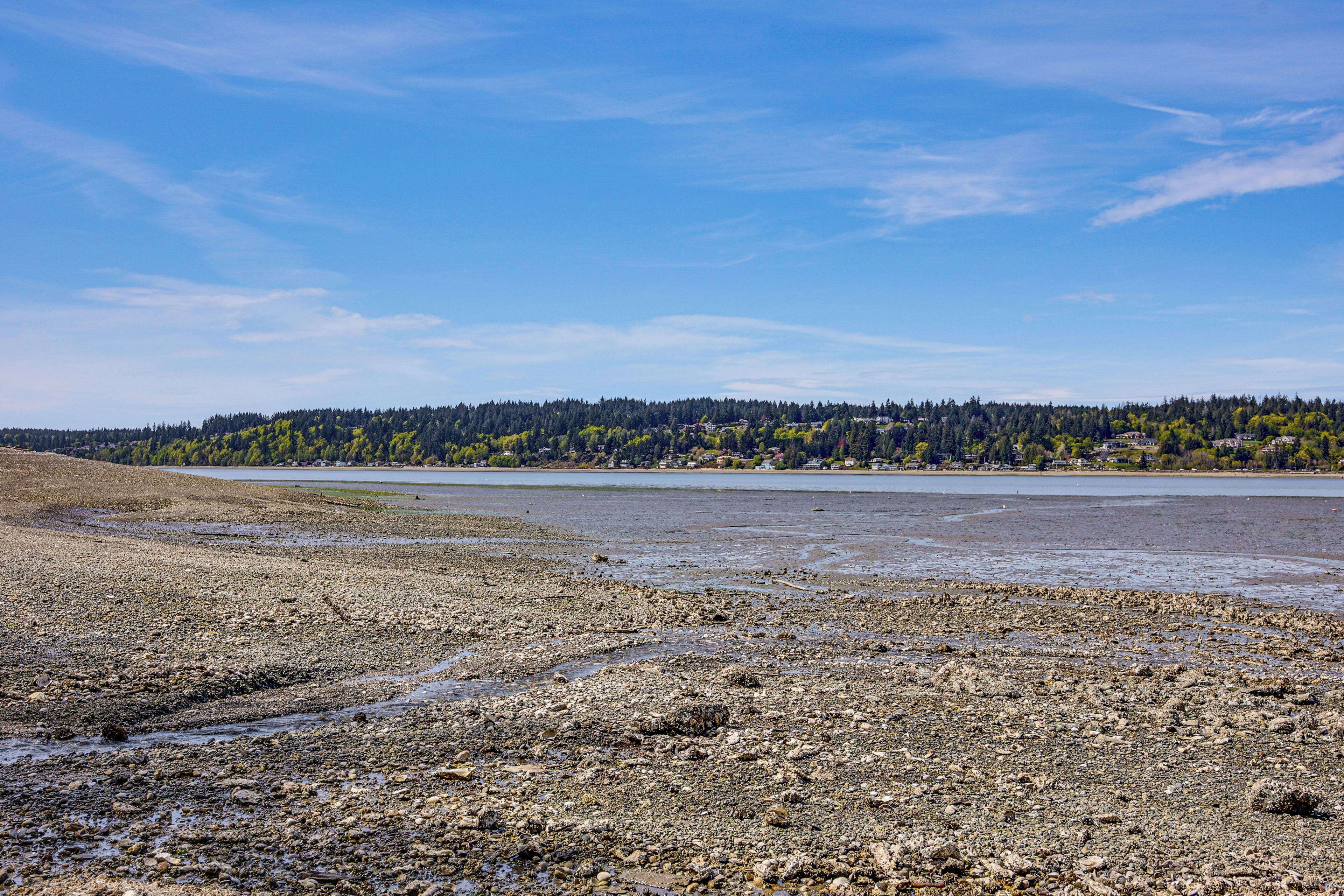 A rocky shoreline with a forested hill in the background.