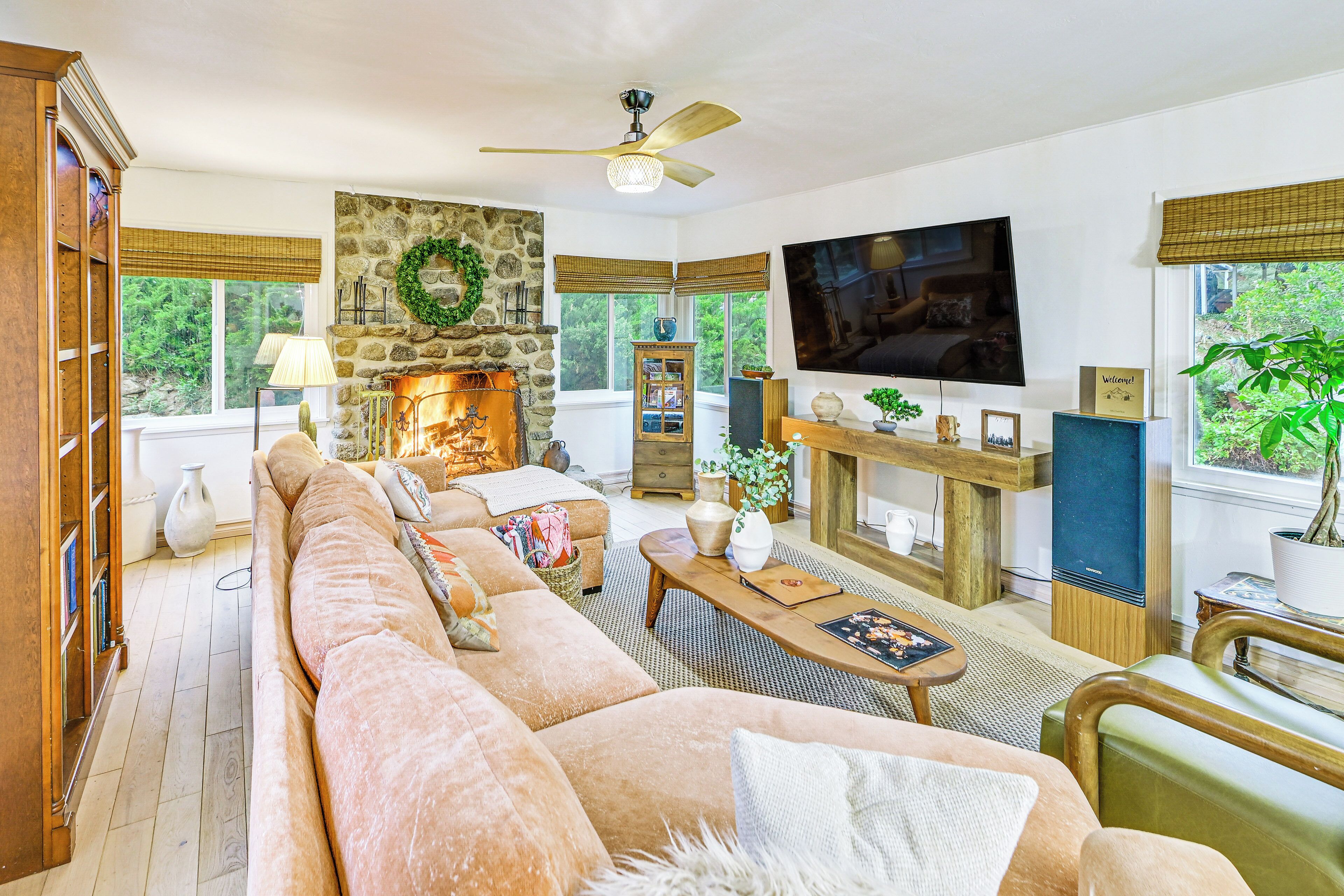 TV, fireplace, books, stereo