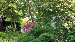 Ein Gartenweg, umgeben von üppigem Grün und einem blühenden Buschwerk in Rosa.