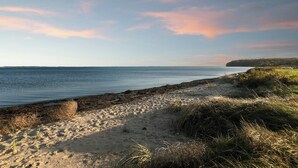Ranta, jossa on hiekkaa, ruohoa ja tyyni meri kirkkaan taivaan alla.