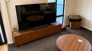 Smart TV, fireplace, books