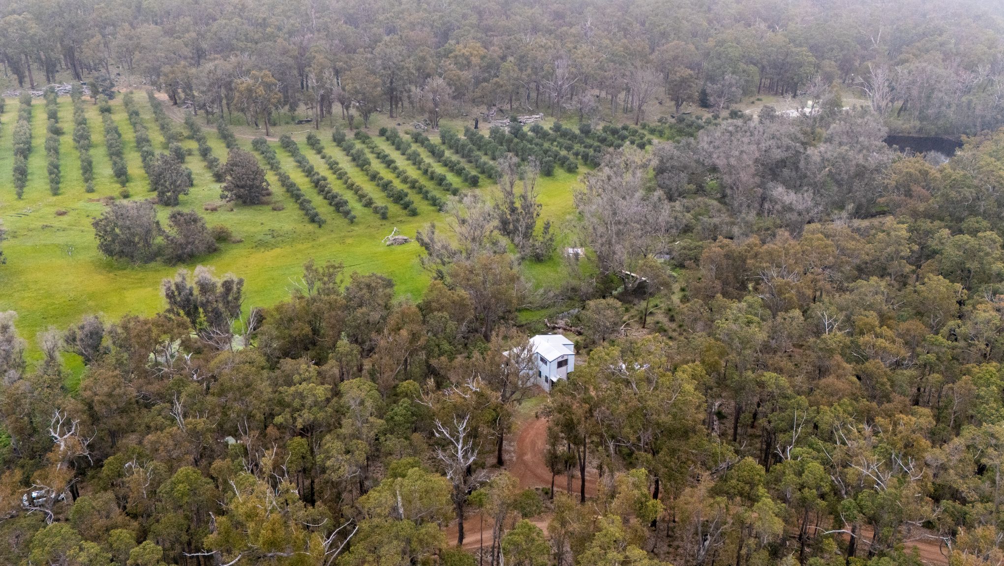 An aerial view of a property with a central building surrounded by dense forest and a field with rows of trees.