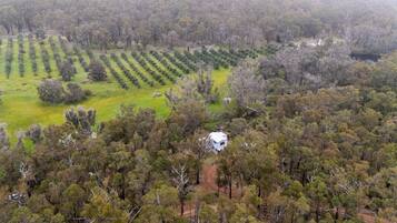An aerial view of a property with a central building surrounded by dense forest and a field with rows of trees.
