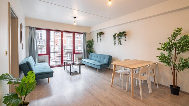 En moderne stue med sofa, spisebord og stole. Der er et stort vindue med gardiner, en potteplante og en hængende plante på væggen.