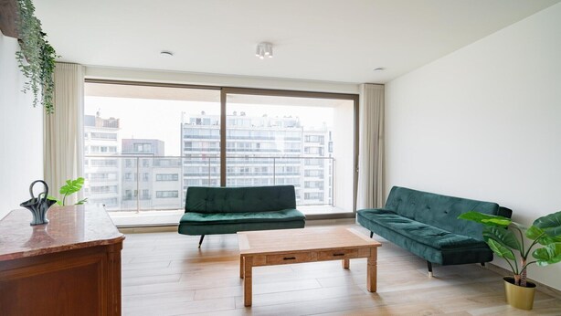 Een moderne woonkamer met een bank, een salontafel en een plant.