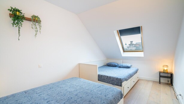 Un dormitorio con dos camas, un tragaluz, una mesita de noche con lámpara y una planta en la pared.