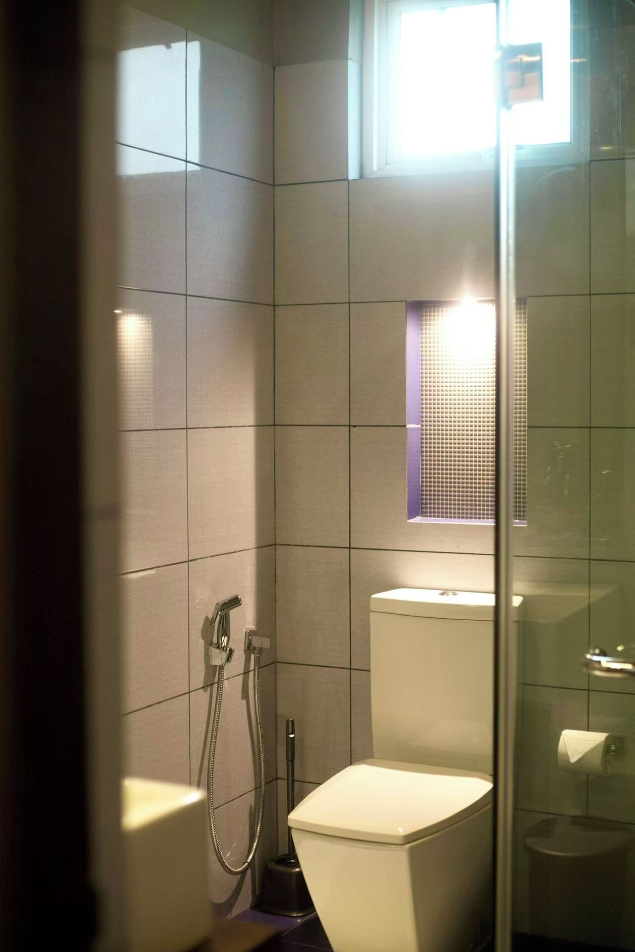 A bathroom with a toilet, shower, and a window.