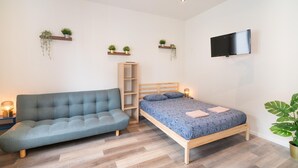 Un dormitori amb un llit, un sofà, una televisió i prestatges amb plantes.