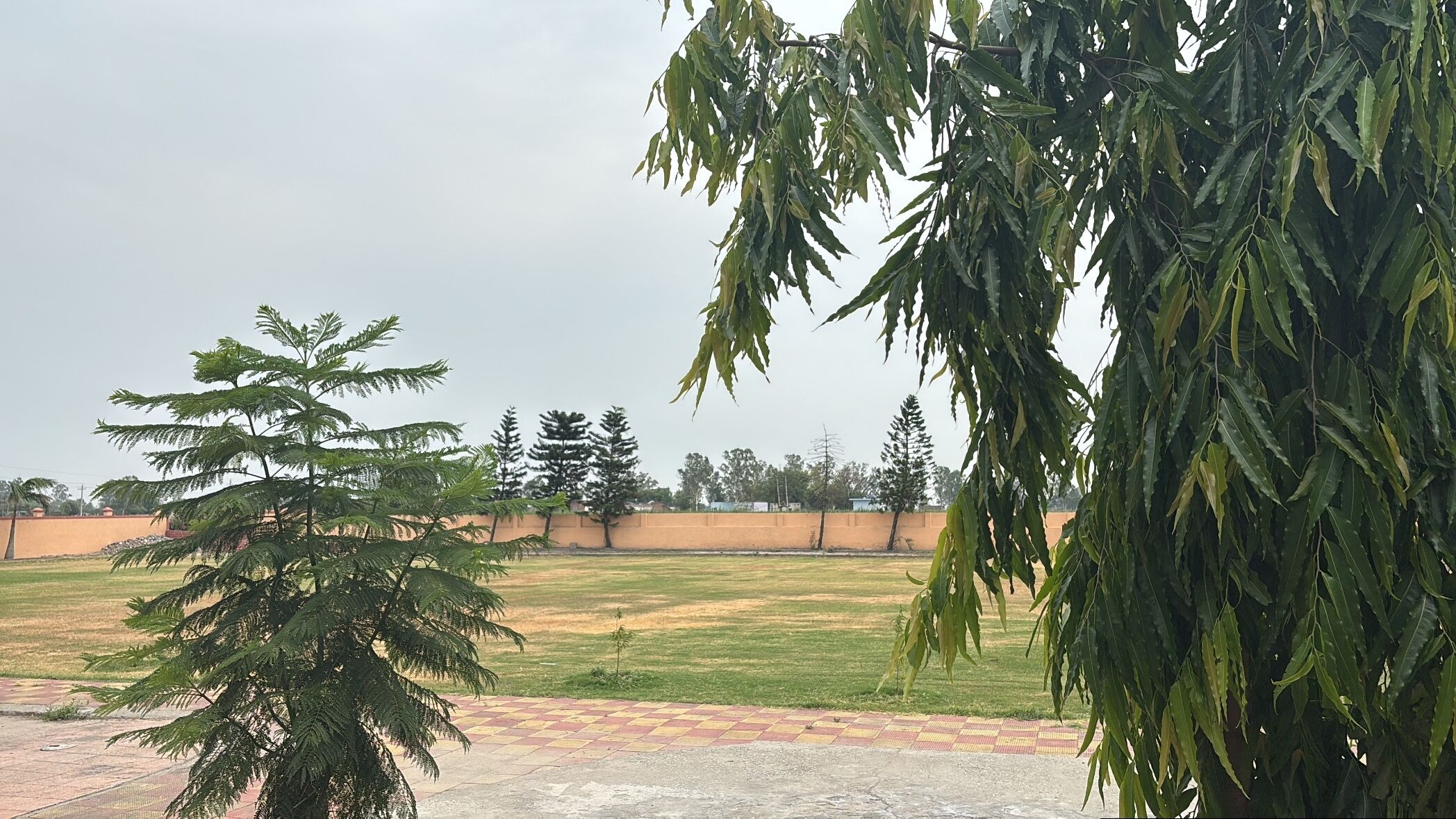 Un prato erboso con una recinzione, alberi e un’area pavimentata.