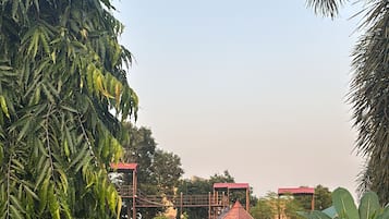 Khuôn viên nơi lưu trú
