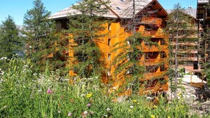 A wooden chalet with a sloped roof surrounded by trees and wildflowers. - Spacious Mountain Stay for 7 (Risoul)