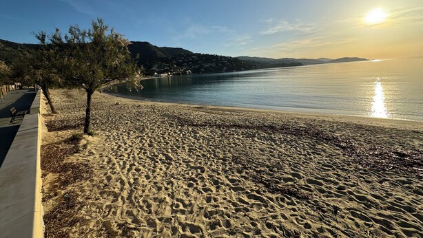Una playa con paseo marítimo adoquinado, árboles y una vista despejada del mar.