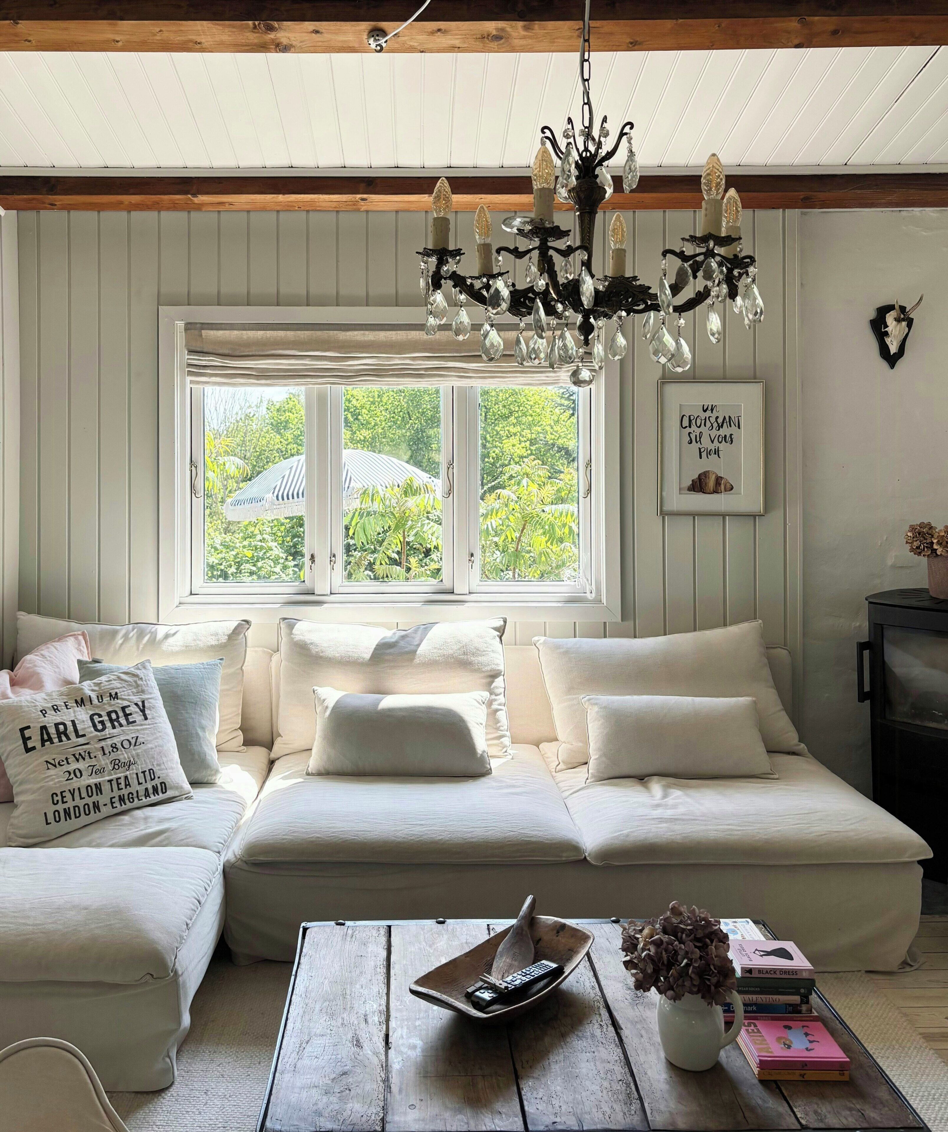 Tv, pejs