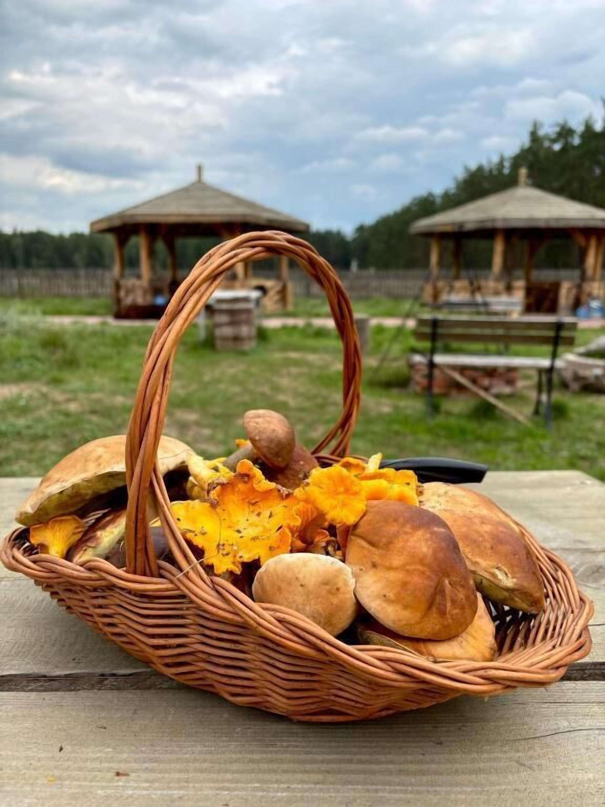 A wicker basket with mushrooms and bread on a wooden surface.