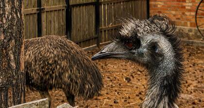 Farma Puchałowo