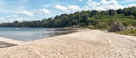 A sandy beach with a clear view of the water, a dock, and a pile of sticks.