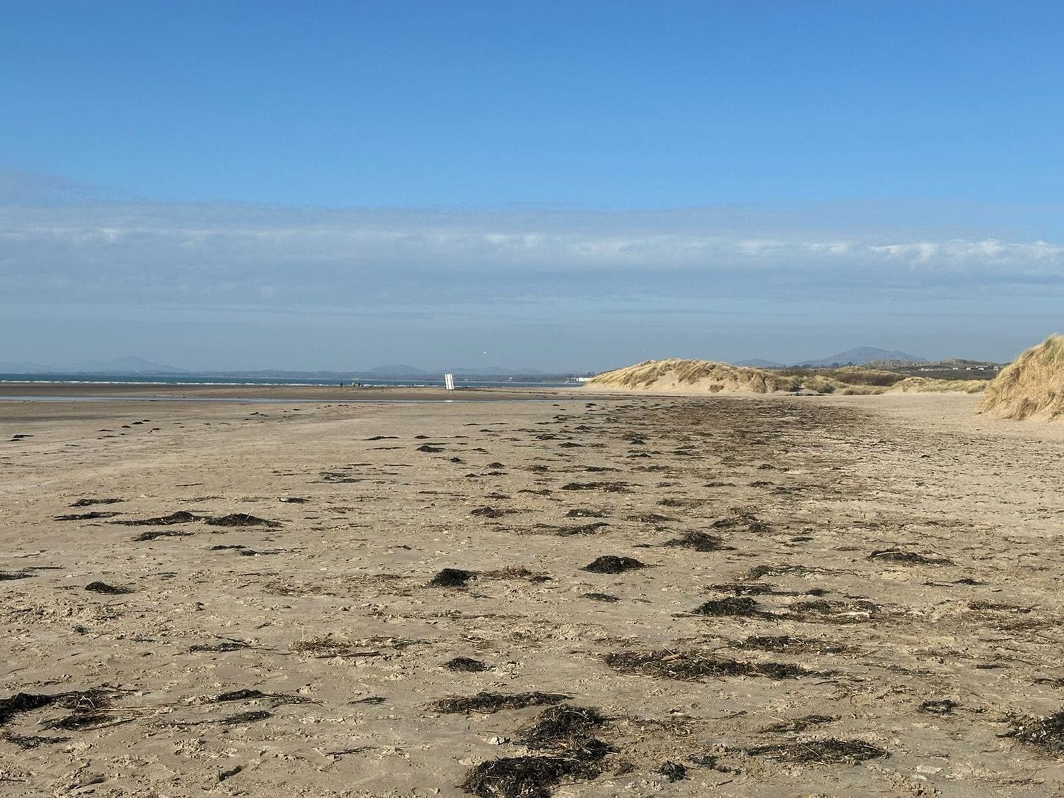 Ein Strand mit Dünen und blauem Himmel.