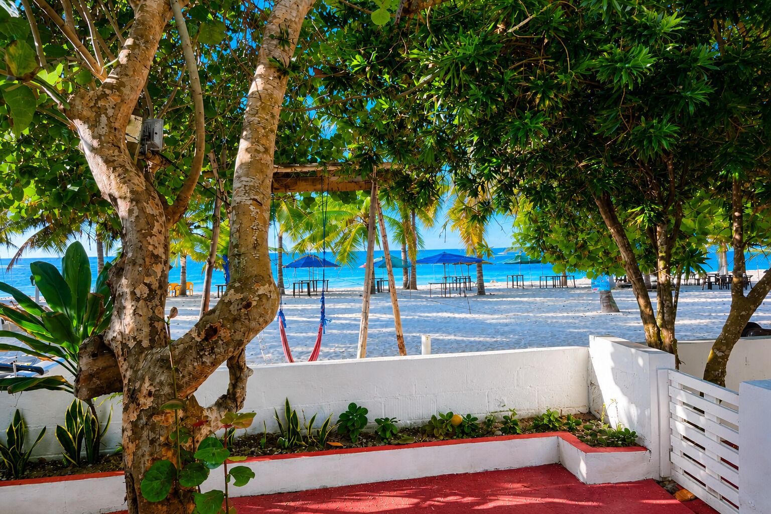 Une vue sur la plage, avec des palmiers, un mur blanc et une moquette rouge.